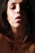 Foto Nina Trans Modena 3275779564 - 9
