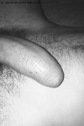 Prato Trans Lucrezia Hikman 351 29 44 990 foto selfie 88