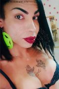 Vercelli Trans Escort Rayla Rios 329 38 77 403 foto selfie 18
