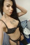 Vercelli Trans Escort Rayla Rios 329 38 77 403 foto selfie 19