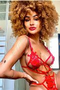 Foto Stella Trans Milano 3295563971 - 25