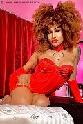 Foto Stella Trans Milano 3295563971 - 17