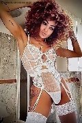 Foto Stella Trans Milano 3295563971 - 11