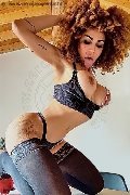 Foto Stella Trans Milano 3295563971 - 6