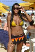 Foto Tain� Oliveira Trans Prato 3285382487 - 54