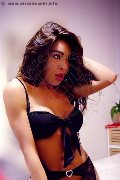 Foto Tain� Oliveira Trans Prato 3285382487 - 26