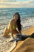Foto Tain� Oliveira Trans Prato 3285382487 - 1