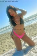 Foto Tain� Oliveira Trans Prato 3285382487 - 12