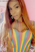 Foto Wanessa Ambrosio Trans Frosinone 3518069231 - 202