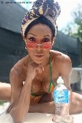 Foto Wanessa Ambrosio Trans Frosinone 3518069231 - 10