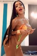 Foto Wanessa Ambrosio Trans Frosinone 3518069231 - 126