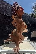 Foto Wanessa Ambrosio Trans Frosinone 3518069231 - 14